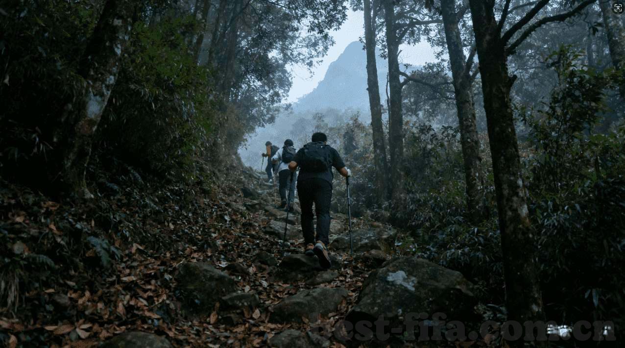 多游九州仙剑传app-多游九州 仙剑传app，打造梦幻修仙体验